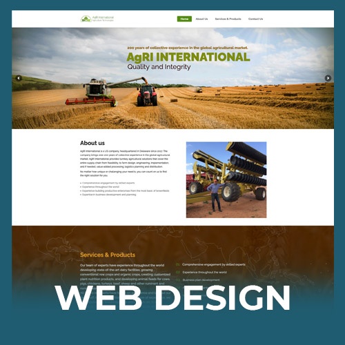 Web Design Services