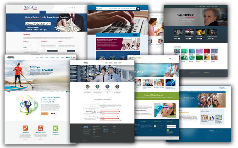 Web Desin Samples and Project Samples