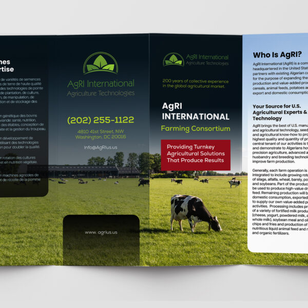4 Fold Brochure Design